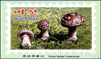 Sellos: RPDC 2003 Hongos MNH - Foto 1