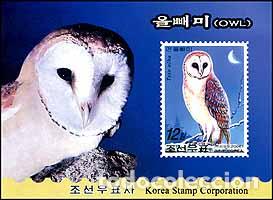 Sellos: RPDC 2006 B&uacute;hos MNH - Foto 1