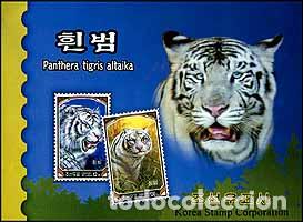 Sellos: RPDC 2005 Tigre blanco MNH - Foto 1