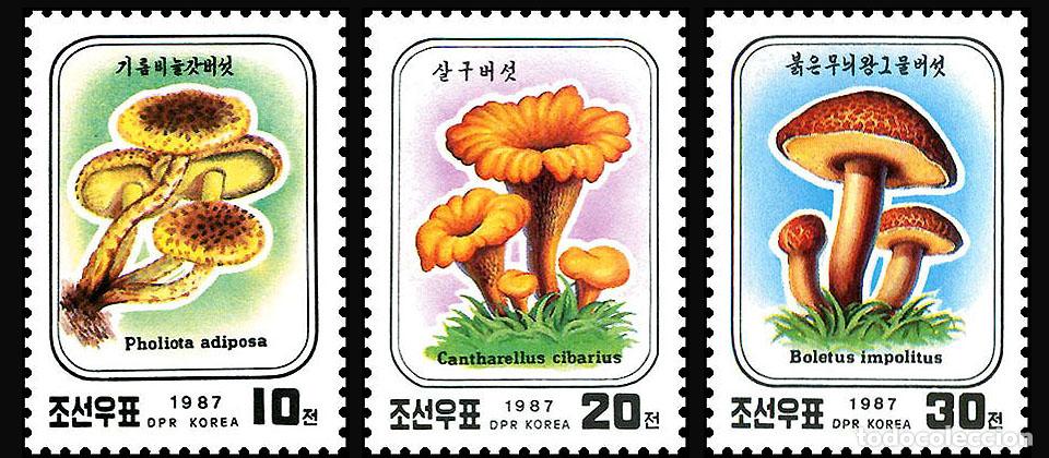 Sellos: RPDC 1987 Hongos flores MNH - Foto 1