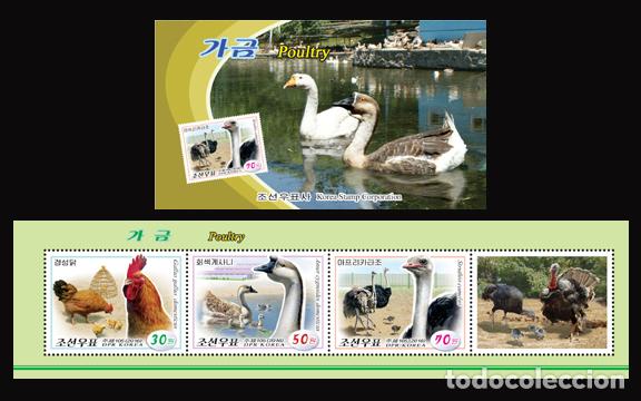 Sellos: RPDC 2016 p&aacute;jaro dom&eacute;stico MNH - Foto 1