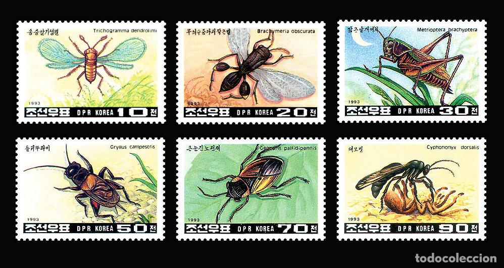 Sellos: RPDC 1993 insectos insectos MNH - Foto 1
