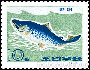Sellos: RPDC 1966 Pescado de mar Pez MNH - Foto 1