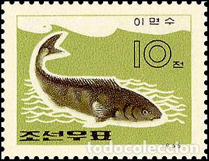 Sellos: RPDC 1966 Pescado de mar Pez MNH - Foto 1