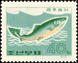 Sellos: RPDC 1966 Pescado de mar Pez MNH - Foto 1