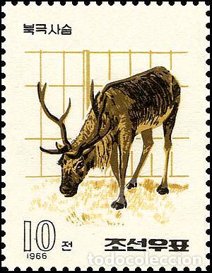 Sellos: RPDC 1966 Ciervo Fauna MNH - Foto 1