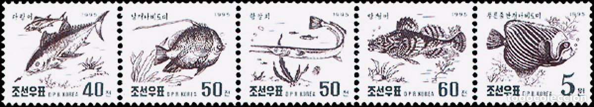 Sellos: RPDC 1995 Pez Pez MNH - Foto 1