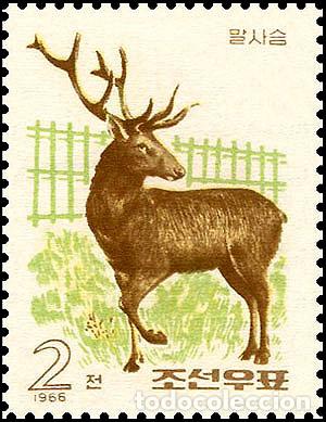 Sellos: RPDC 1966 maral Fauna MNH - Foto 1