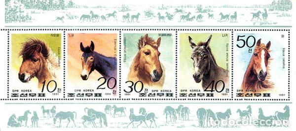 Sellos: RPDC 1991 Caballos Mascotas MNH - Foto 1