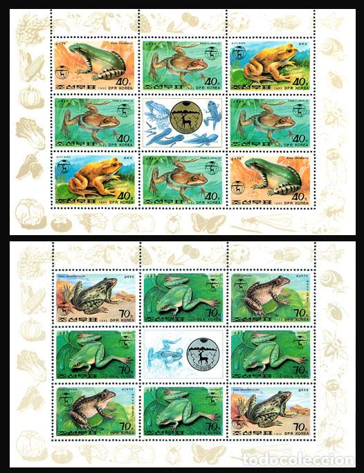 Sellos: RPDC 1992 ranas Pez MNH - Foto 1