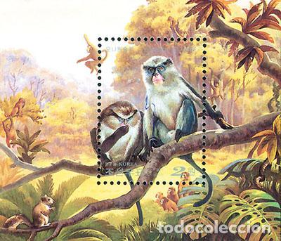 Sellos: RPDC 2000 Cercopithecus mona (sin perforaci&oacute;n) Fauna MNH - Foto 1