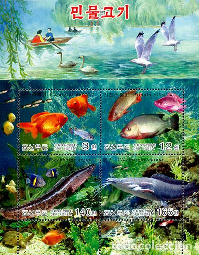 Sellos: RPDC 2004 Peces de agua dulce (sin perforar) Pez MNH - Foto 1