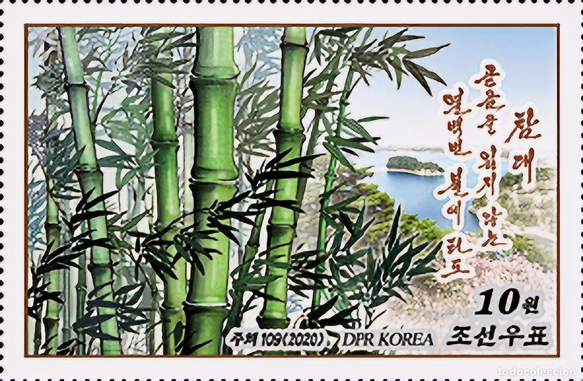 Sellos: RPDC 2020 Bamb&uacute; (grados sin dientes) flores MNH - Foto 1