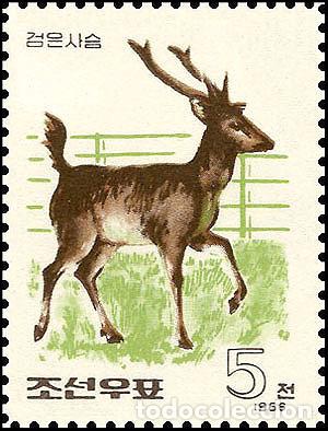 Sellos: RPDC 1966 s&aacute;mbar Fauna MNH - Foto 1