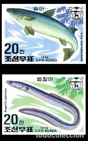 Sellos: RPDC 1996 Peces de agua dulce (sin perforar) Pez MNH - Foto 1