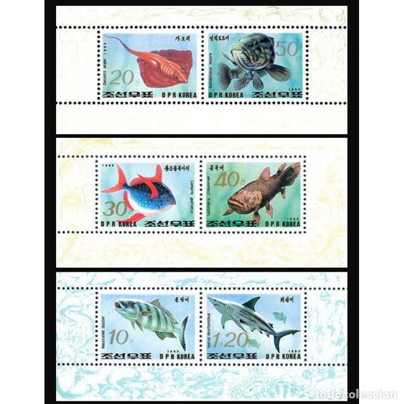 Sellos: RPDC 1993 Pescado de mar Pez MNH - Foto 1