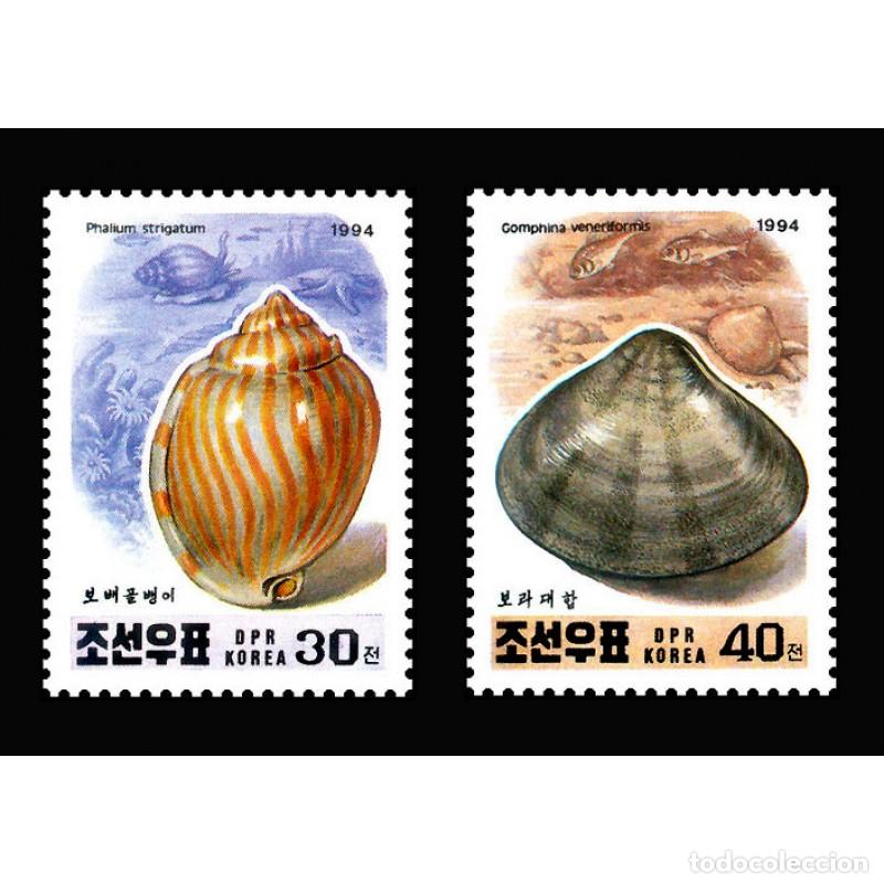 Sellos: RPDC 1994 Conchas Conchas MNH - Foto 1