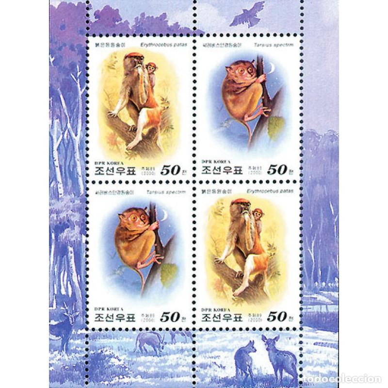 Sellos: RPDC 2000 Mono Mono MNH - Foto 1