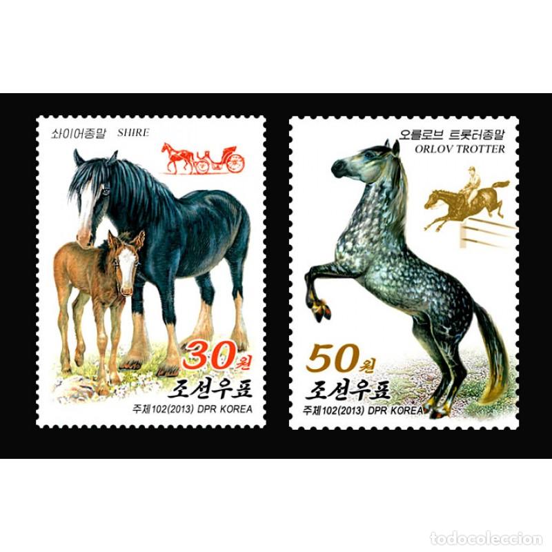 Sellos: RPDC 2013 Caballos Caballos MNH - Foto 1