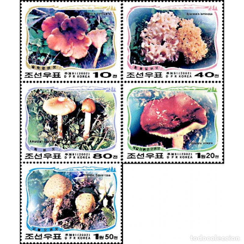 Sellos: RPDC 2002 Hongos Hongos MNH - Foto 1