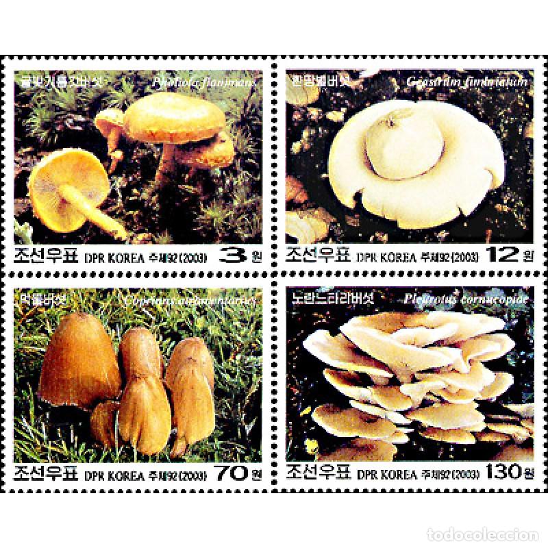 Sellos: RPDC 2003 Hongos Hongos MNH - Foto 1