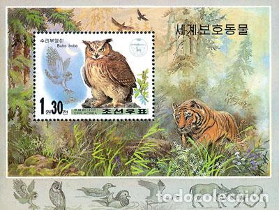 Sellos: RPDC 2001 Bubo bubo (sin perforaci&oacute;n) Aves MNH - Foto 1