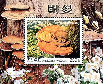 Sellos: RPDC 2003 Elfvingia applanata (sin perforar) Flora MNH - Foto 1