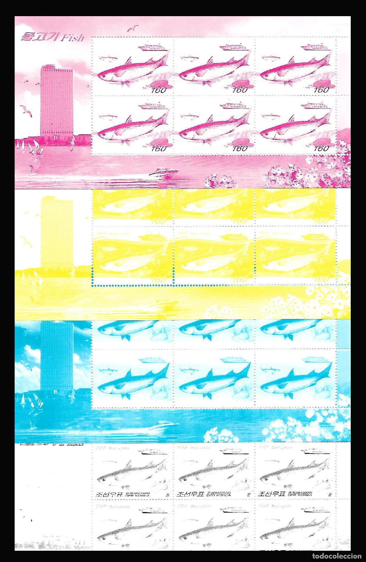 Sellos: RPDC 2009 Cefalo de Mugil MNH - Foto 1