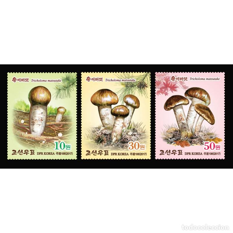 Sellos: RPDC 2017 Seta de pino Hongos MNH - Foto 1
