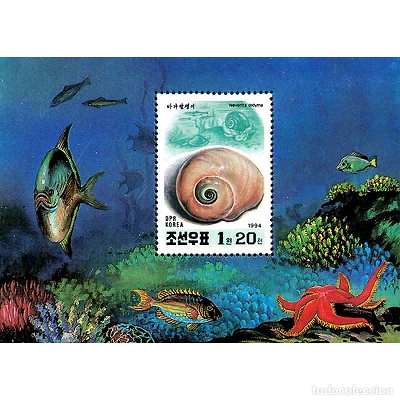 Sellos: RPDC 1994 Conchas Conchas MNH - Foto 1