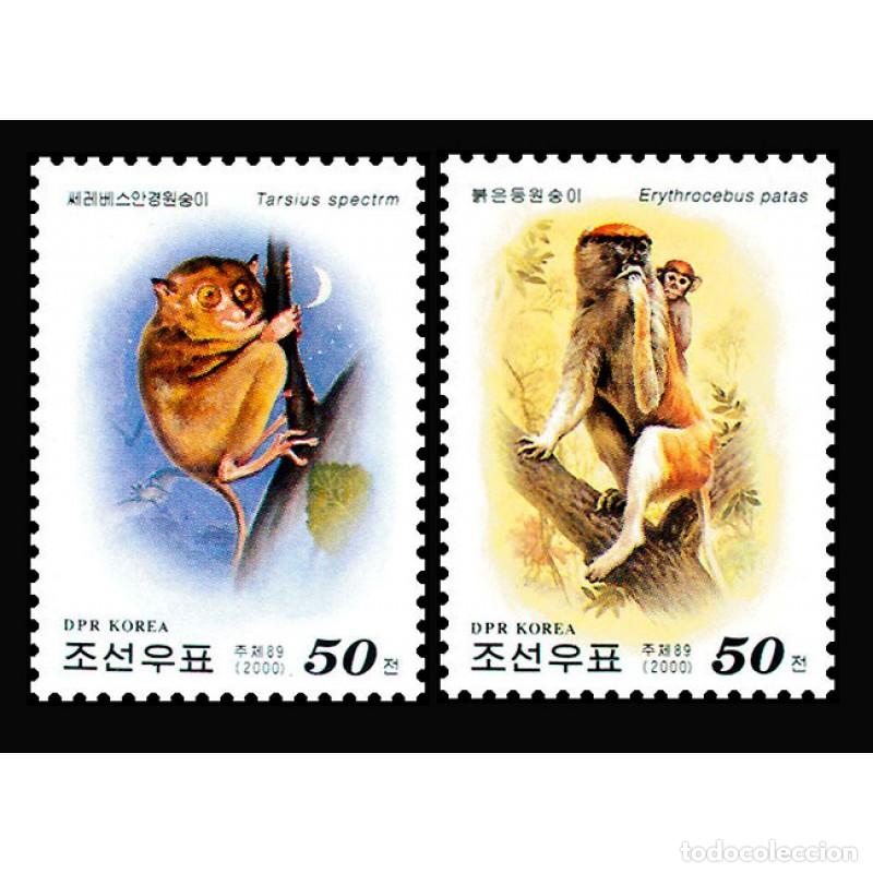 Sellos: RPDC 2000 Mono Mono MNH - Foto 1