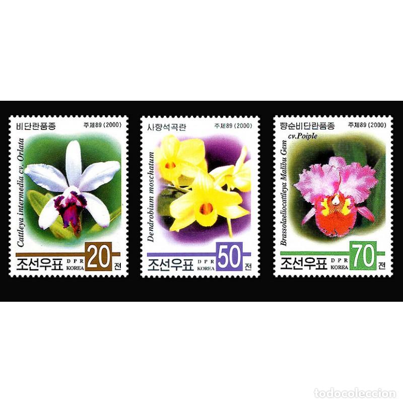 Sellos: RPDC 2000 orqu&iacute;deas orqu&iacute;deas MNH - Foto 1