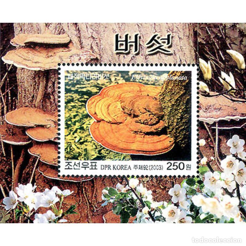 Sellos: RPDC 2003 Hongos Hongos MNH - Foto 1