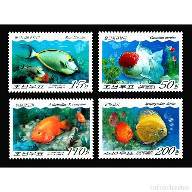 Sellos: RPDC 2007 Pez Pez MNH - Foto 1