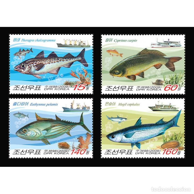Sellos: RPDC 2009 Pez Pez MNH - Foto 1