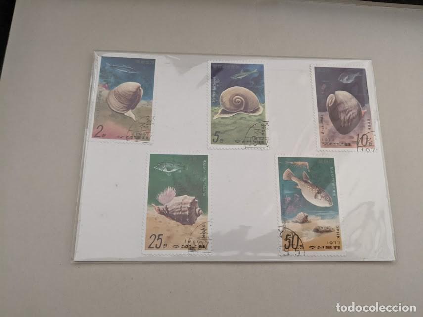 Sellos: LOTE 5 SELLOS COREA CONCHAS - Foto 1