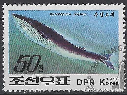 Sellos: COREA DEL NORTE 1992 - BALLENAS, RONCUAL COM&Uacute;N - USADO - Foto 1