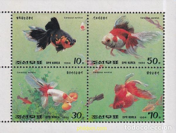 Sellos: 765306 MNH COREA DEL NORTE 1994 PECES ROJOS - Foto 1