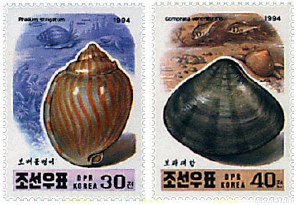 Sellos: 765308 MNH COREA DEL NORTE 1994 CONCHAS - Foto 1