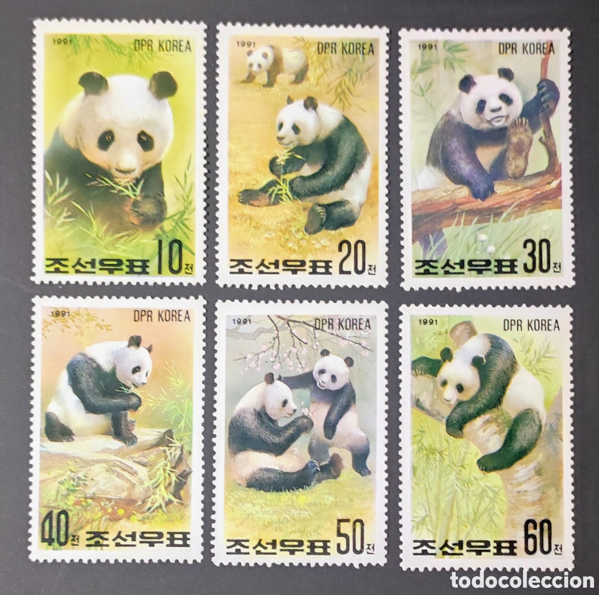Sellos: Corea del Norte. 1991. Osos panda - Foto 1