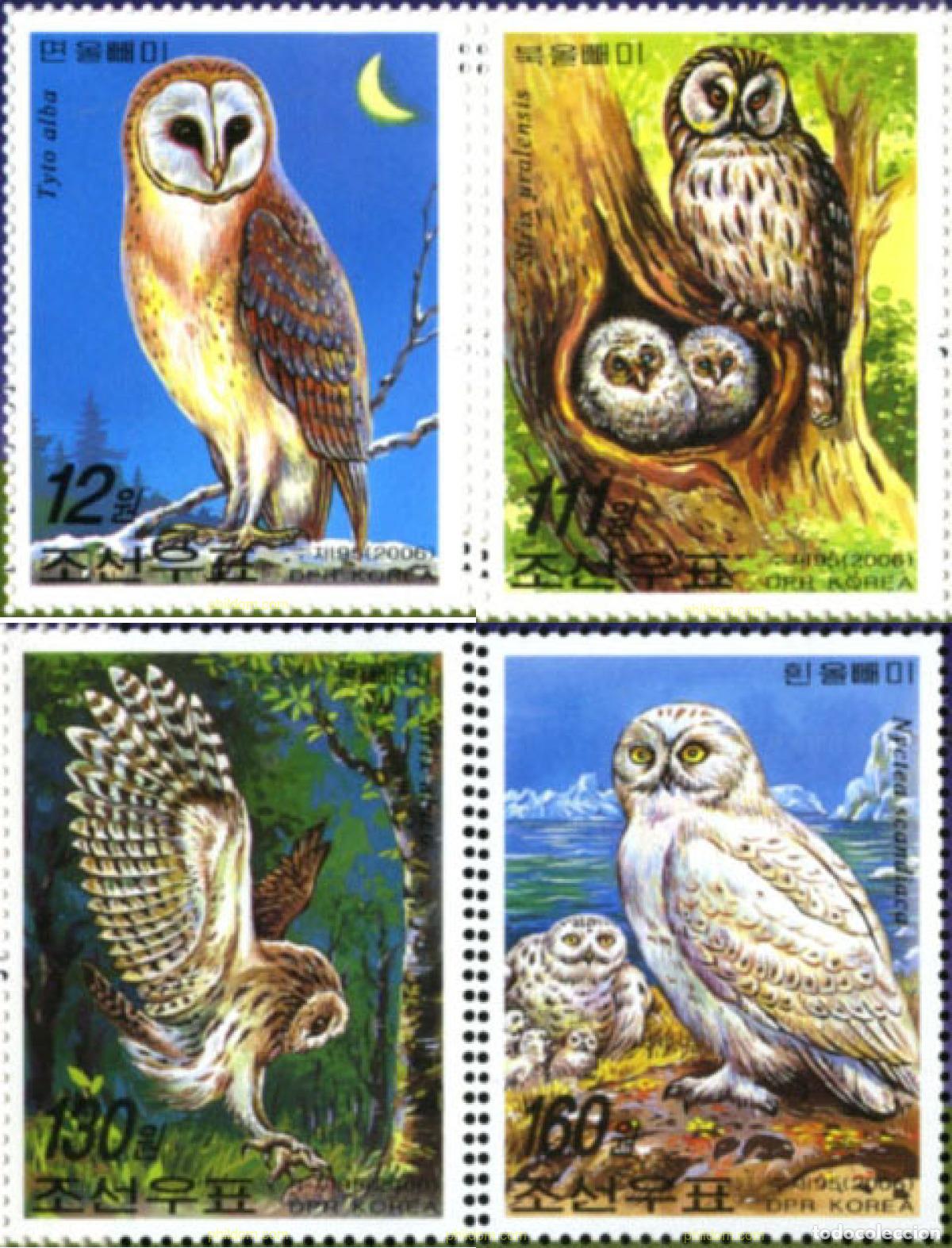 Sellos: 190183 MNH COREA DEL NORTE 2006 BUHOS - Foto 1