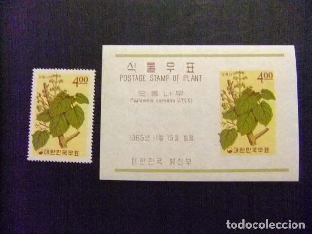 Sellos: 57 SUR COREA 1965 / FLORA PLANTAS - PAULOWNIA KOREANA / YVERT 371 + bloc 89 MNH