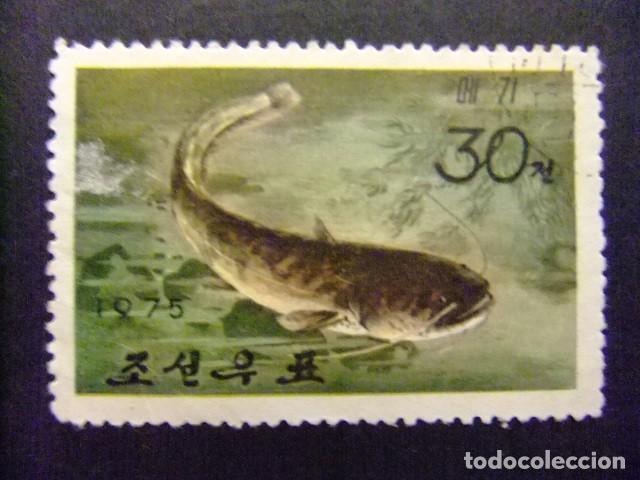 Sellos: 57 COREA del NORTE 1975 / FAUNA MARINA - PEZ GATO / YVERT 1261 FU