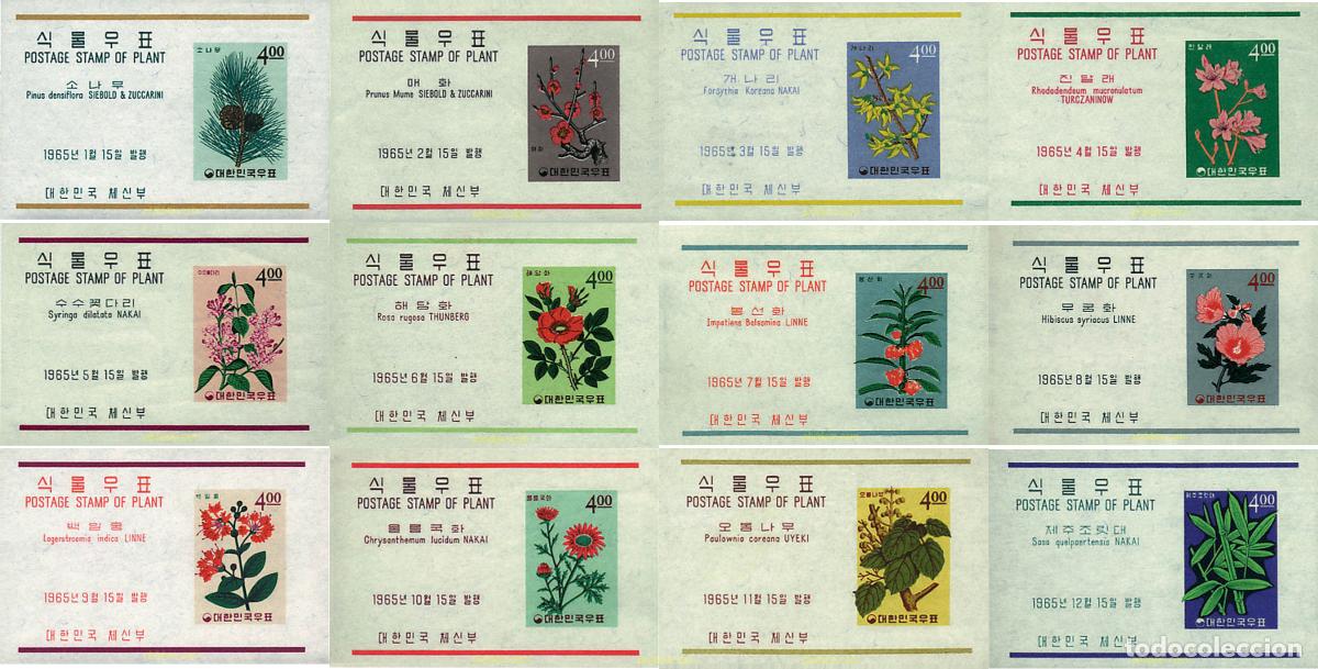 Sellos: 781138 MNH COREA DEL SUR 1965 PLANTAS