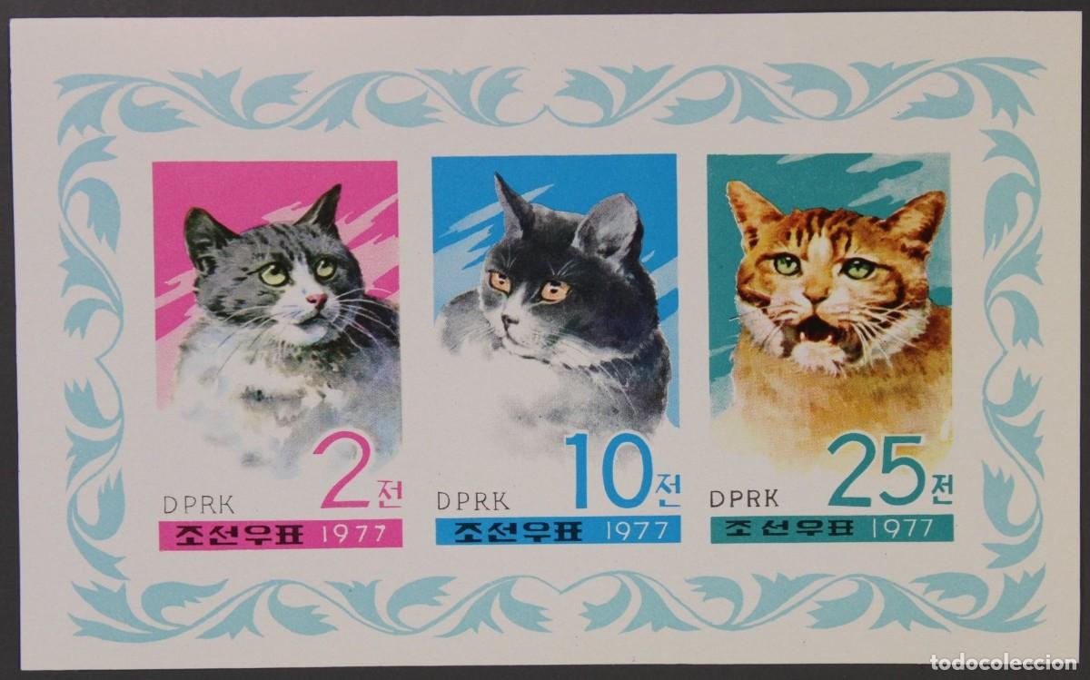 Sellos: COREA KOREA 1977 SHEET MNH IMPERF CATS GATTI CHATS GATOS KATZEN