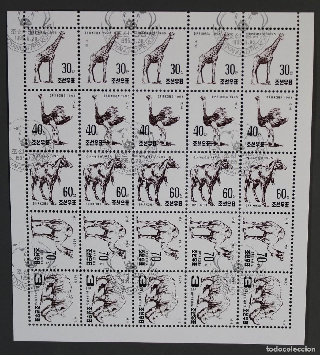 Sellos: COREA KOREA 1995 SHEET USED MNH FAUNA CABALLOS CAMELLOS AVESTRUCES AVES BIRDS JIRAFAS RINOCERONTES