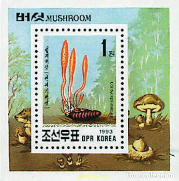 Stamps: 34589 MNH COREA DEL NORTE 1993 SETAS