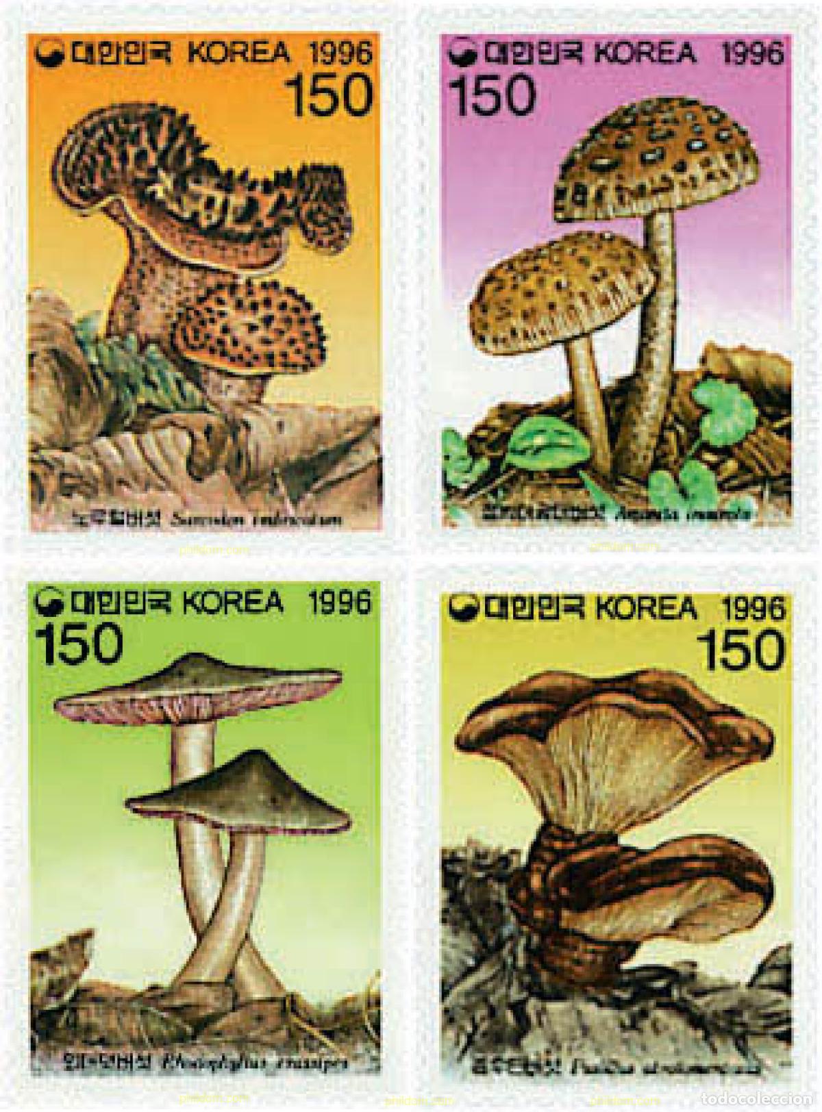 Sellos: 37471 MNH COREA DEL SUR 1996 SETAS