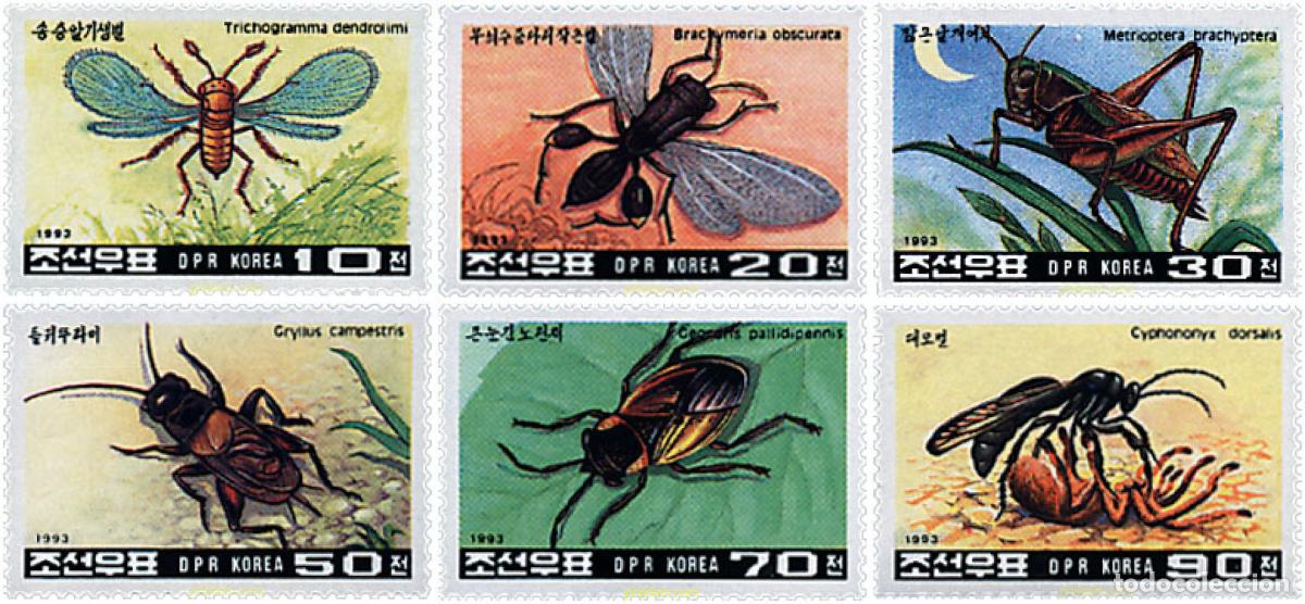 Sellos: 41541 MNH COREA DEL NORTE 1993 INSECTOS