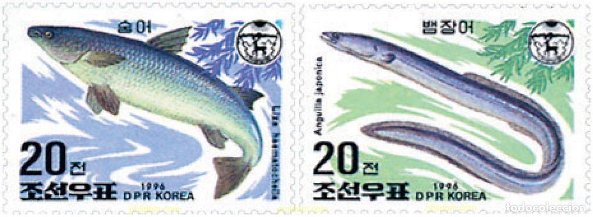 Sellos: 81852 MNH COREA DEL NORTE 1996 PECES DE AGUA DULCE